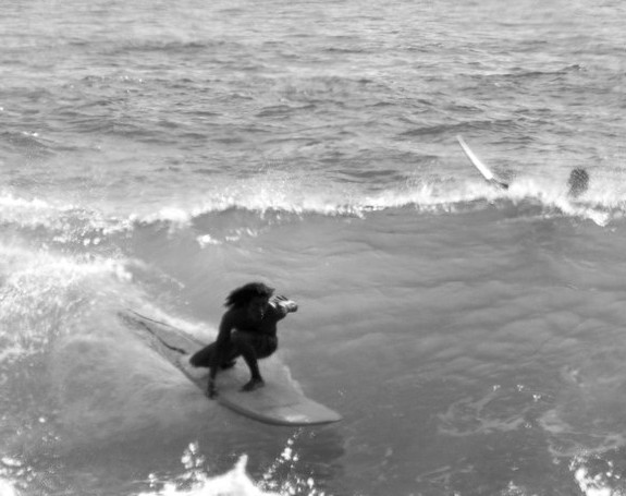 Mexico, Puerto Escondido spread