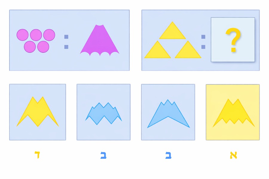 Reference pattern matching assessment screens used as design inspiration